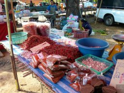 Thailand2009-OddsAndEnds-010